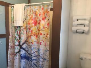 Acorn Hideaways Canton Sweet Tweet Guesthouse King Bed - 5