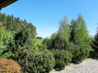 Siedlisko Mazurskie koło Mikołajek - 1