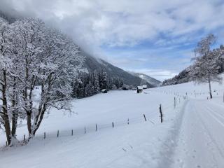 Appartement Plut - 7