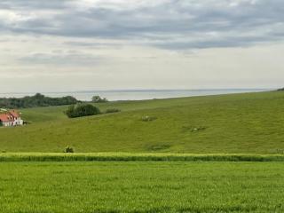 Sur les routes de la mer - 6