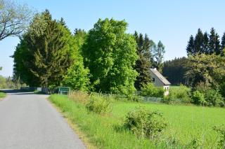 Ferienhaus Untere Zeitelwaidt - Bad Steben - 8