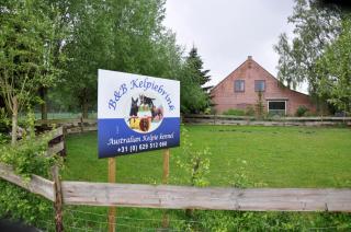 B&B Kelpiebrink - Baarle-Nassau - 1