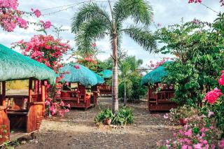 Airport View Hotel - Vigan - 3