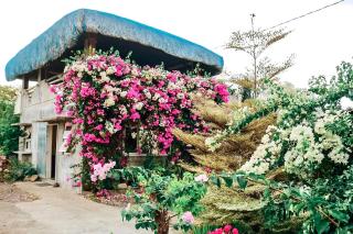Airport View Hotel - Vigan - 4