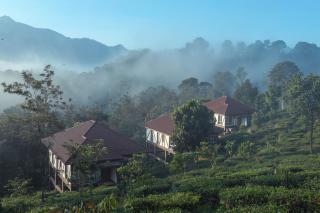 Jeevess Retreat - Wayanad - 4