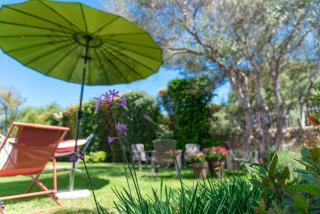 Stardust Guesthouse - Augusta - 5