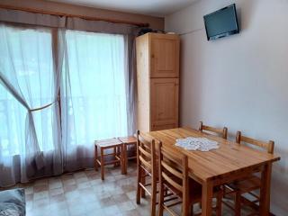 2 pièces + cabine avec balcon et kitchenette équipée - FR-1-573-56 - Le Biot - 0