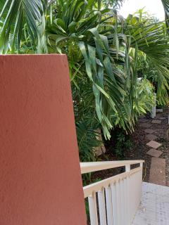 Studio charmant au cœur de Fort-de-France, 22 m², vue sur le jardin - 1