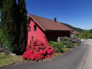 Ferienwohnung Sabine - Hornberg - 8