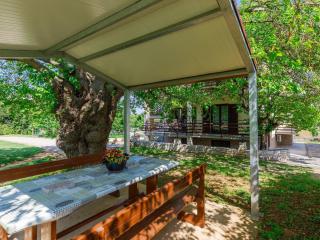 Apartment Vesela-3 by Interhome - Savudrija - 4