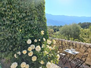 L'armonica di nonnoSandro - 8