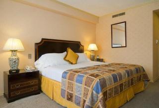 Park Plaza Santiago - 1