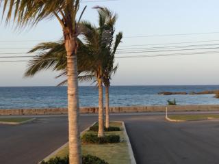 Playa Paraiso JAMAICA Bed & Breakfast - 7