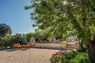 Trullo La Succulenta - Ceglie Messapica - 5