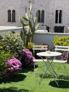 CattedralFlats - 1