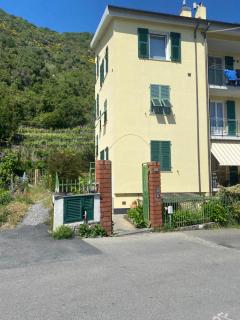 passito rosso - Corniglia - 3