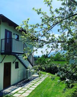 Pension & Apartments Waldkrieber - 4