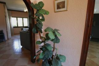 Villa Gregal - Miami Platja - 6