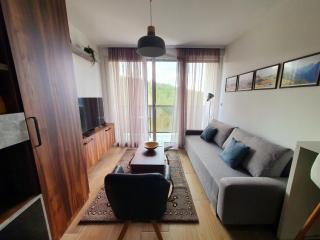 Apartman Staza Divčibare - Divčibare - 0