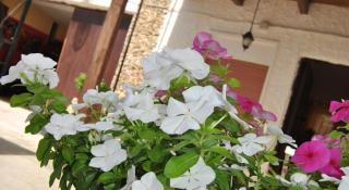 Baia dei turchi locazione turistica - 7