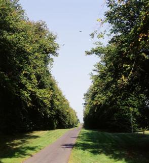 Lismacue House - Bansha - 0
