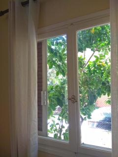 OLEA Apartments - Lefkada - 3