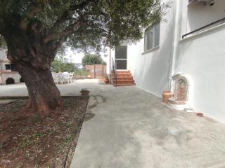 Rural Modern House - Agios Mamas - 6
