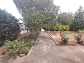 Rural Modern House - Agios Mamas - 9