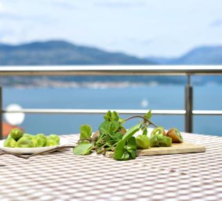 Apartment 365 - Tivat - 4