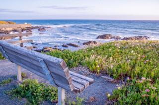 All Decked Out in Cambria - 2