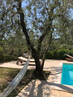 Villino con piscina - 7