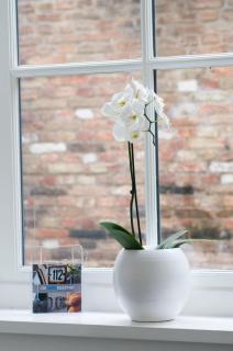 Gastenverblijf De Oare Keamer Kollum Friesland - 6