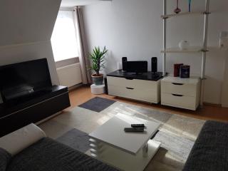 Apartment am Südpark Erfurt - inkl Garten mit Sitzlounge - zentrumsnah - Erfurt - 8
