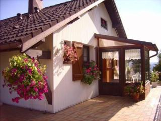 Gîte fonctionnel avec terrasse et vue, Gérardmer - FR-1-589-402 - Gérardmer - 9