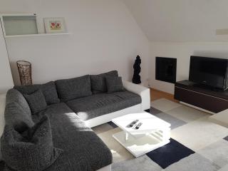 Apartment am Südpark Erfurt - inkl Garten mit Sitzlounge - zentrumsnah - Erfurt - 5