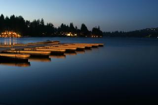 Tree-Top Getaway - 9