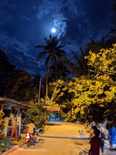 Chamisland Hanhly homestay - Hoi An - 4