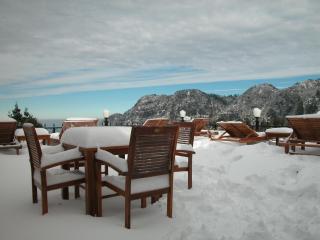 Alishan Hotel - Xianglin - 6