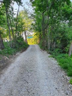 Brancoveanu Glamping - 4