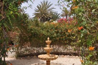 La Palmeraie De Massa - Zaouit Massa - 0