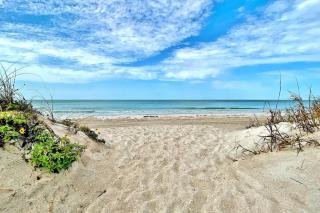 Beach Palms 405 - Clearwater Beach - 5