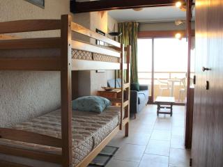 Appart 6 pers, 50m plage, balcon, parking, animaux admis - FR-1-229C-338 - 1