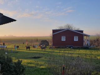 Tiny House - Schönbeck - 9