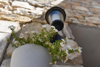 Apartment Loro with Jacuzzi - Posedarje (Possedaria) - 2