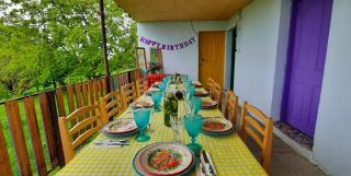 Melaanian Vintage - Guest House, Ecotourism Complex - 6