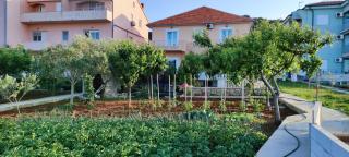 Apartments Lukacic - Tkon - 4