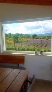 Villa Lavender with swimming pool - Mostar - 7