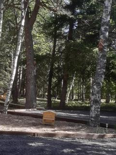 Chalet libellule Domaine de la Mamounette - Champclause - 5