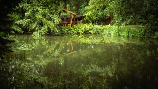 Hasenstall - Rehburg-Loccum - 3