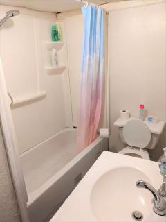 HISTORIC HILL APT2 (Downstairs) - Tuskegee - 2
